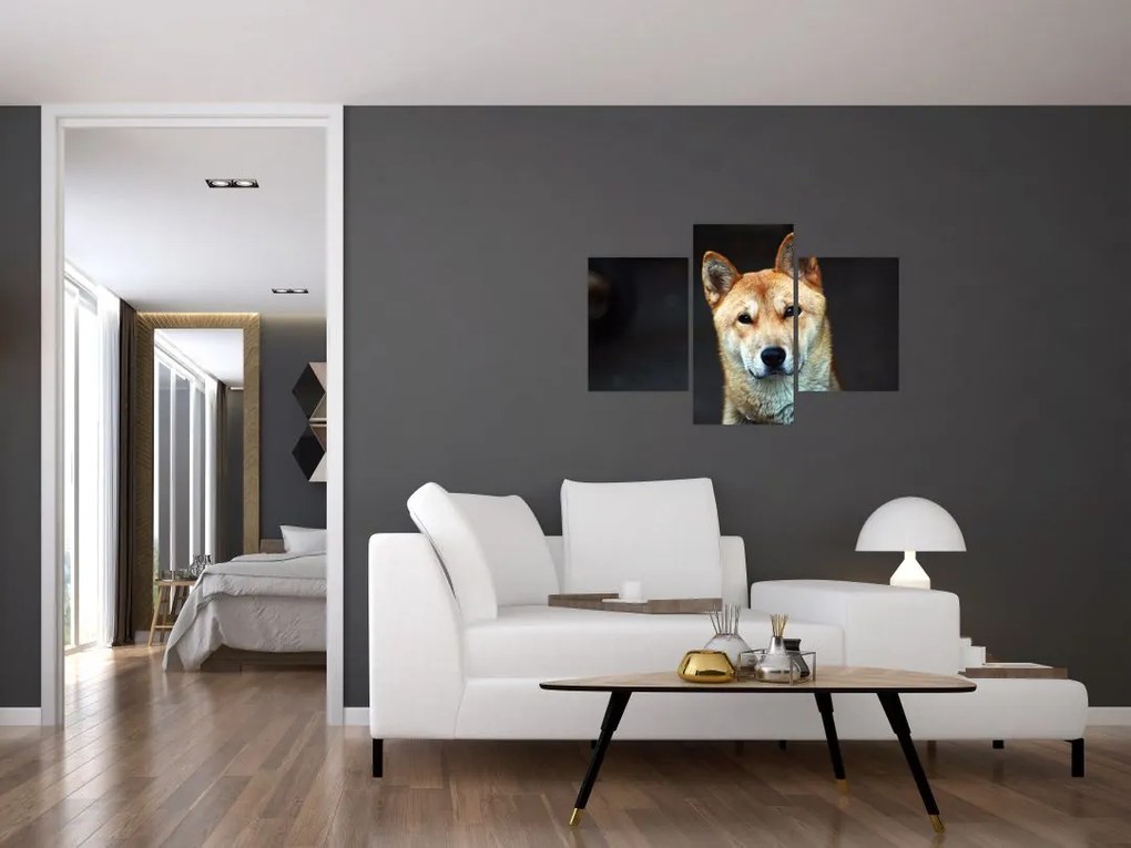 Tablou cu câine (90x60 cm)