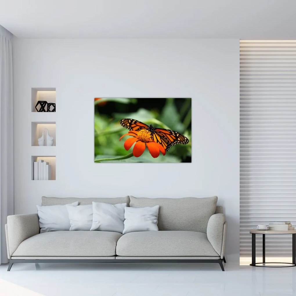 Tablou cu fluture pe floare (90x60 cm)