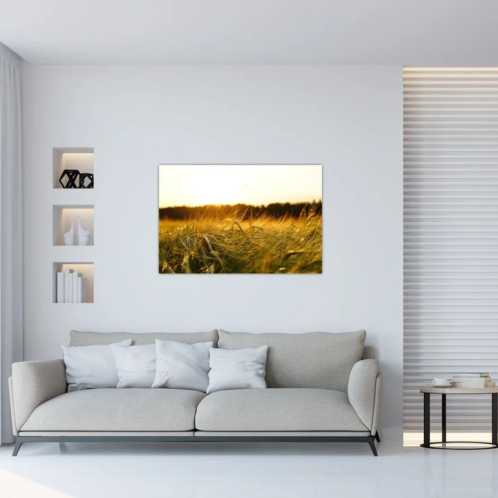 Tablou iarba cu rouă (90x60 cm)