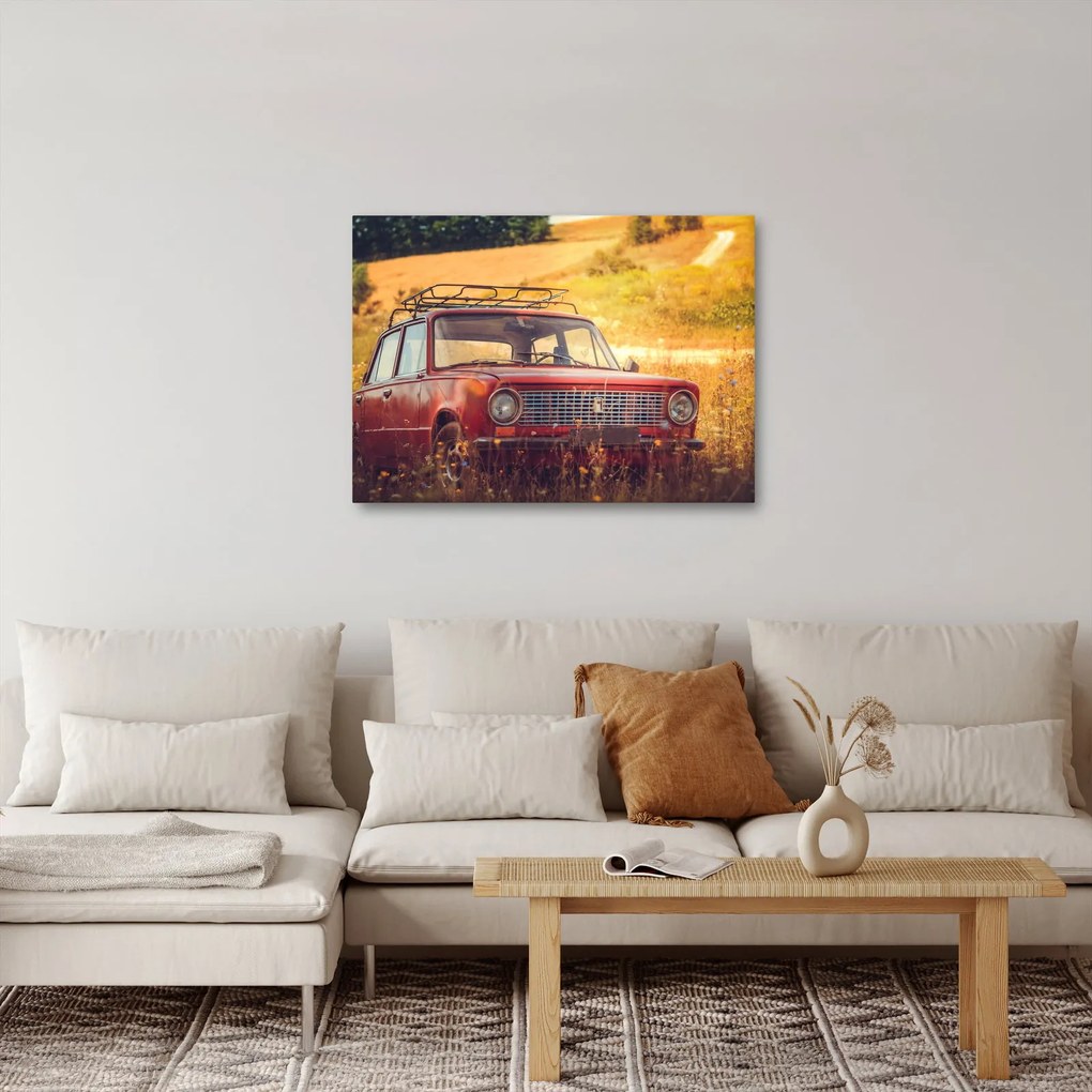 Tablou cu mașină în câmp (70x50 cm)