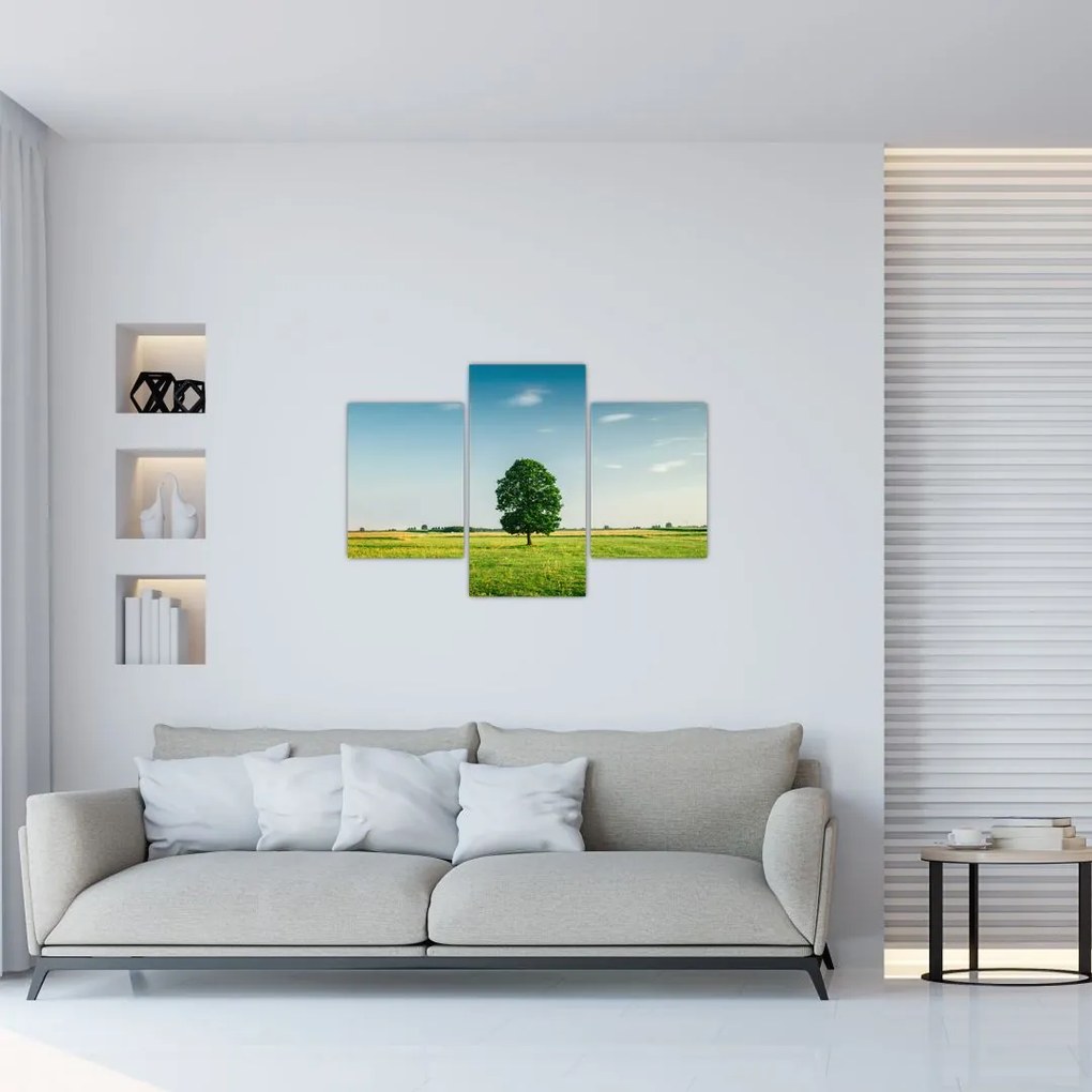 Tablou cu copaci pe luncă (90x60 cm)
