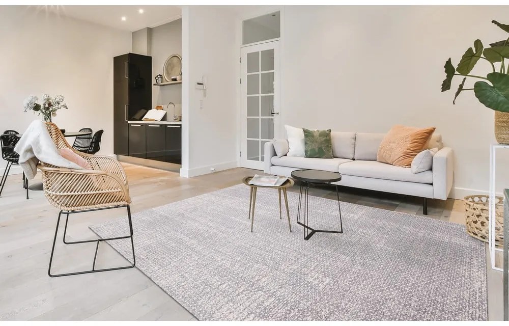 Covor gri deschis din lână 160x240 cm Eden – Agnella