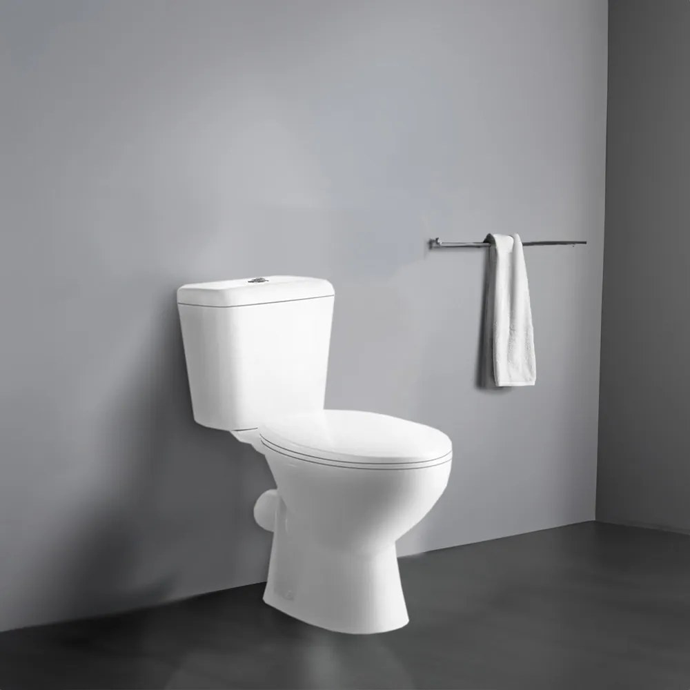 Toaletă monobloc Cleano cu evacuare spate și scaun