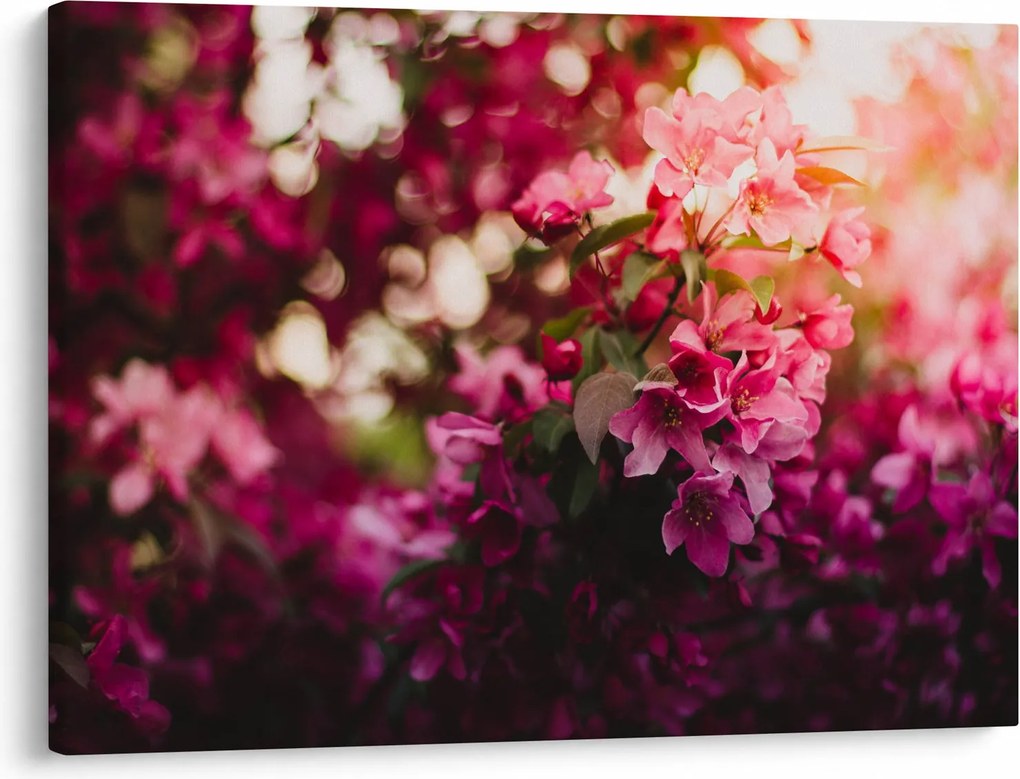 Tablou cu florile tufișului înflorit (70x50 cm)