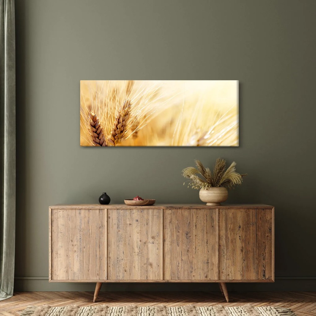 Tablou- detaliu cu (120x50 cm)