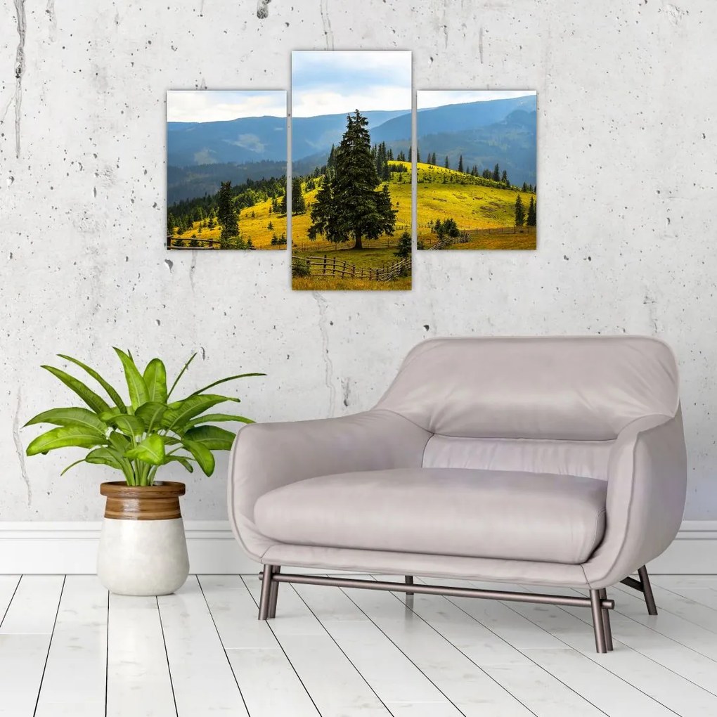 Tablou - Lunca de munte (90x60 cm)