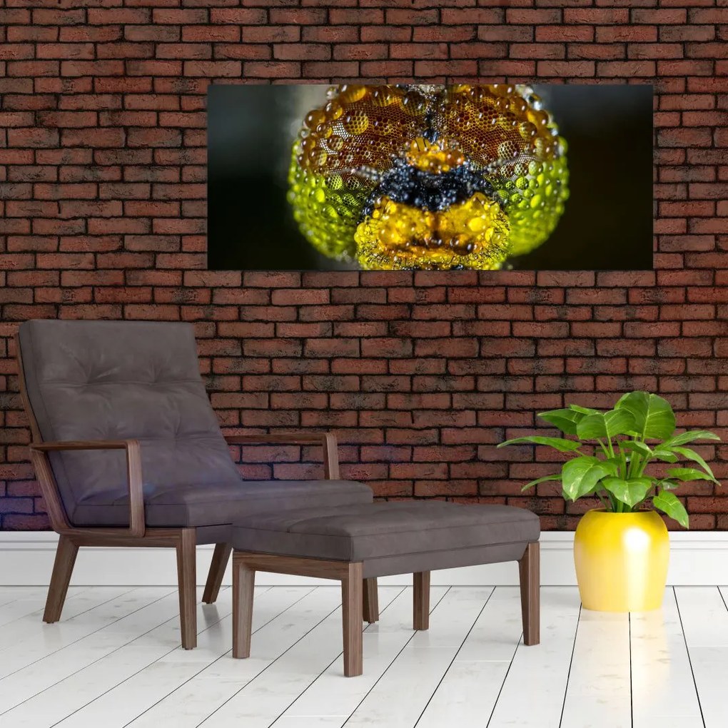Tablou detailat cu ochii de omidă (120x50 cm)