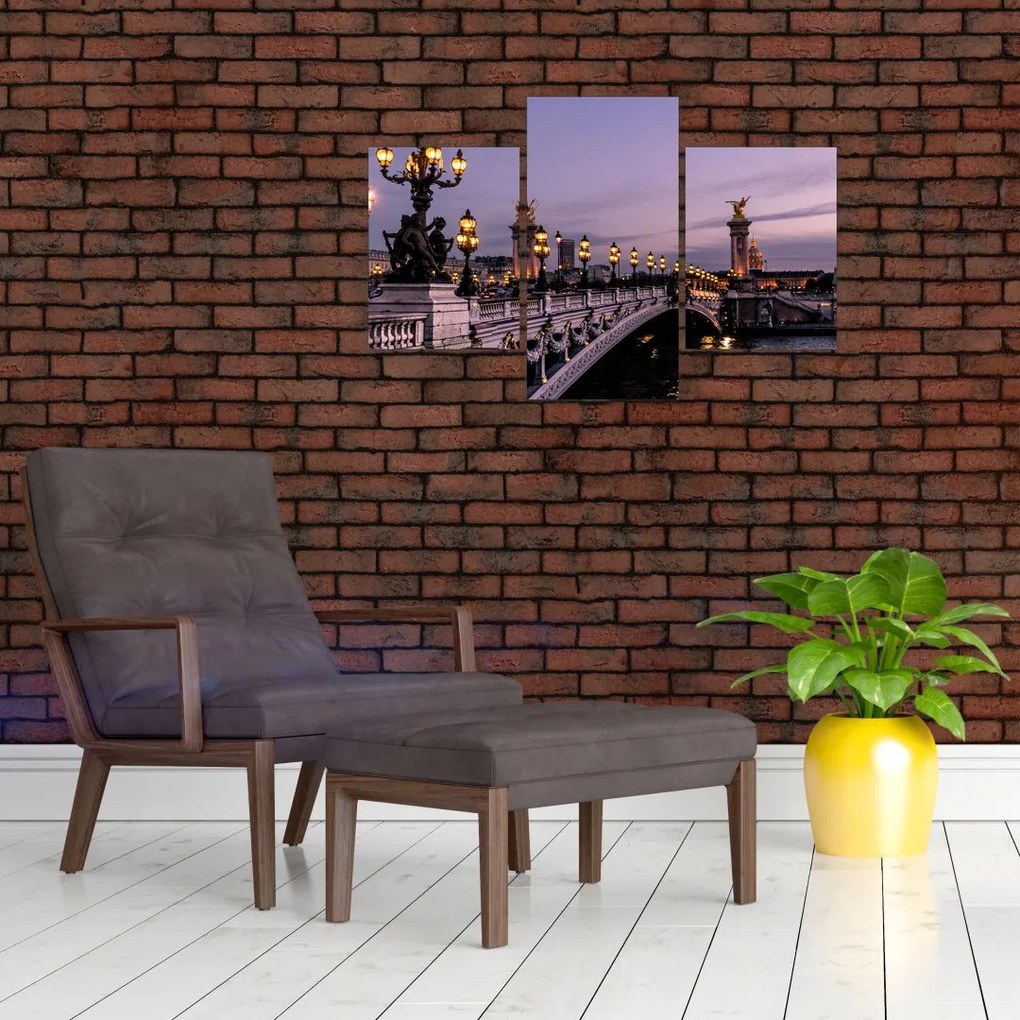 Tablou - Podul lui Alexandru al III.-lea din Paris (90x60 cm)