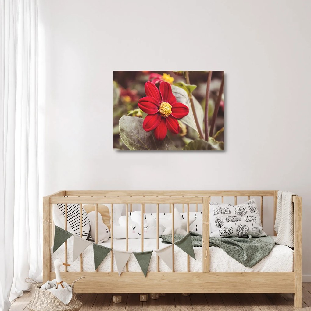 Tablou pe sticlă cu floare (70x50 cm)