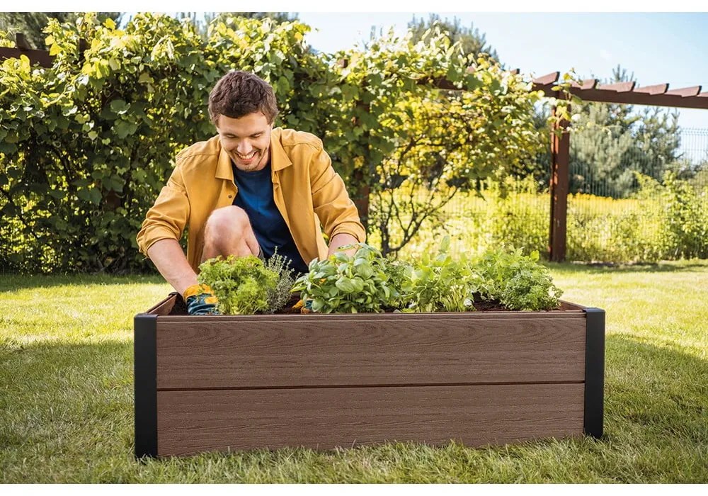 Pat ridicat de plante Maple – Keter