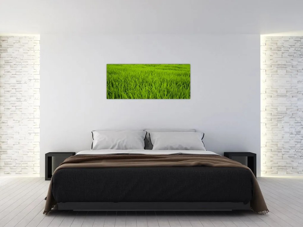Tablou cu iaraba (120x50 cm)