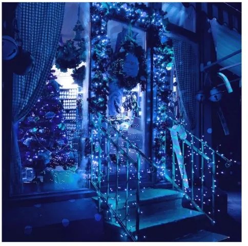 Instalație luminoasă de Crăciun 18m 300 LED Albastru