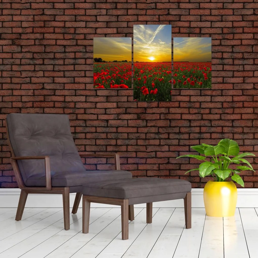 Tablou cu câmp cu maci (90x60 cm)
