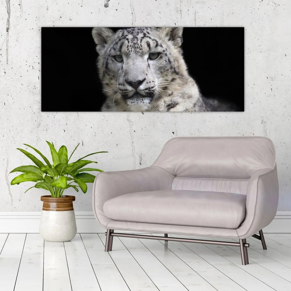 Tablou - Snow Leopard (120x50 cm)