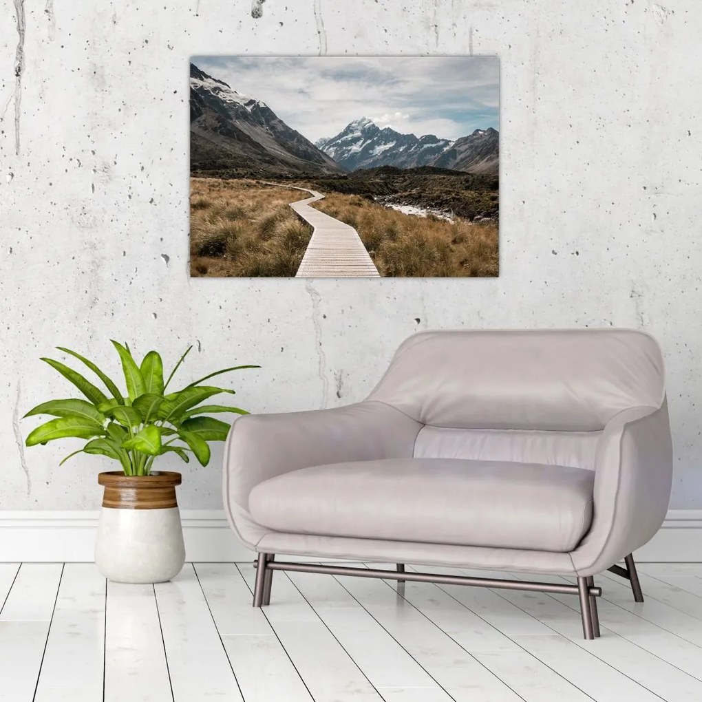Tablou - Poteca în valea muntelui Mt. Cook (70x50 cm)