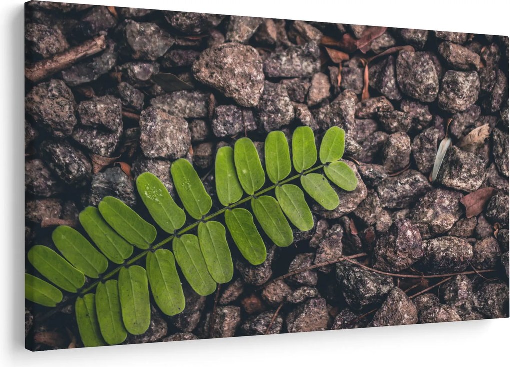 Tablou cu planta verde (90x60 cm)