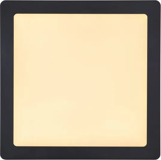 Plafonieră LED Globo 12374-24 DINO LED/22W/230V