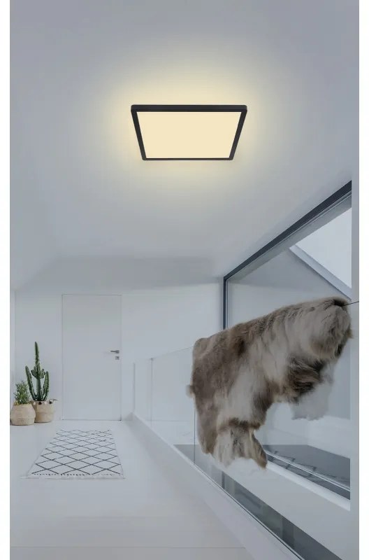 Plafoniera LED pentru baie IP44 SAPANA