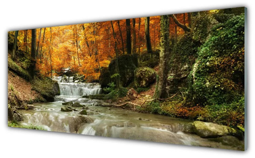 Tablou pe sticla Cascada Natural Pădurea Verde Brun Galben