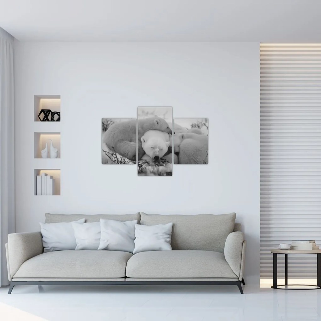 Tablou - Urși polari, alb-negru (90x60 cm)