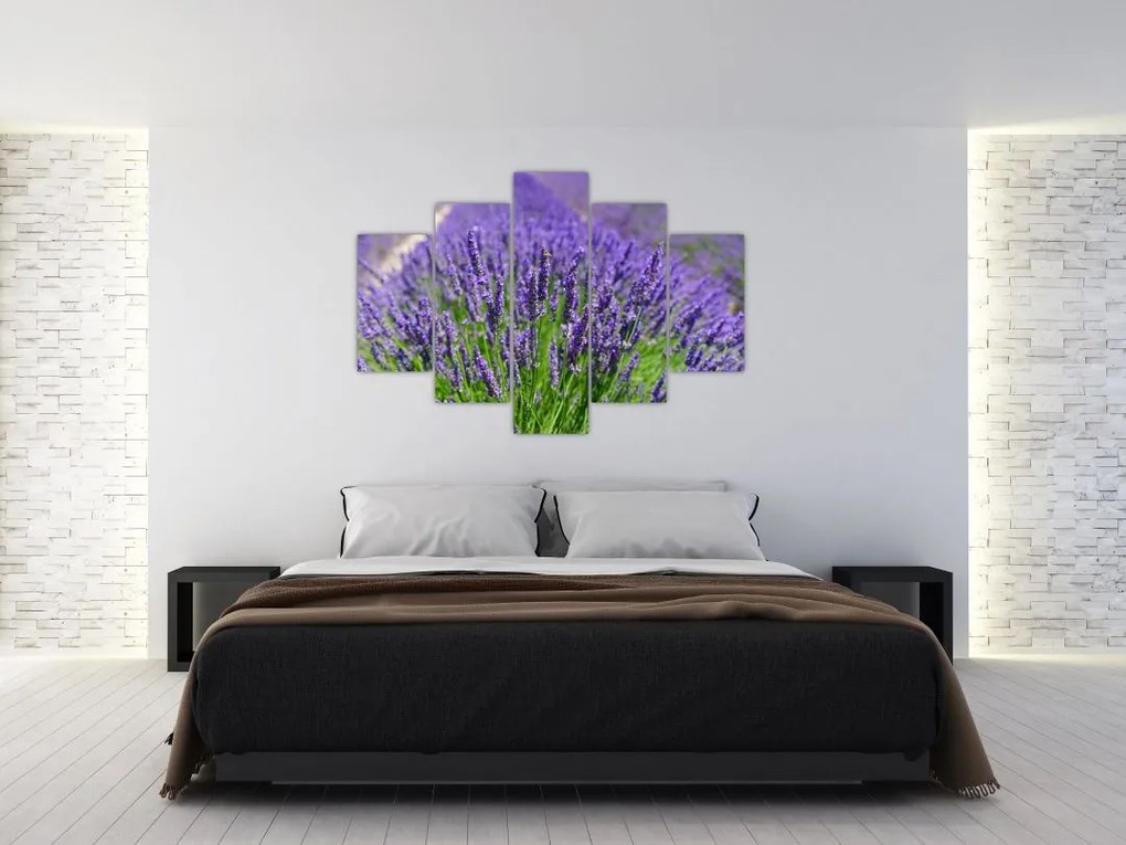 Tablou - lavanda (150x105 cm)