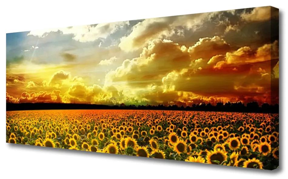 Tablou pe panza canvas Meadow Sunflowers Floral Galben Maro