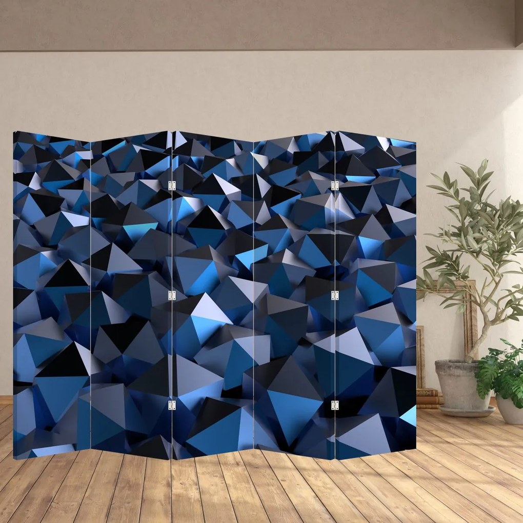 Paravan - Abstracție (210x170 cm)