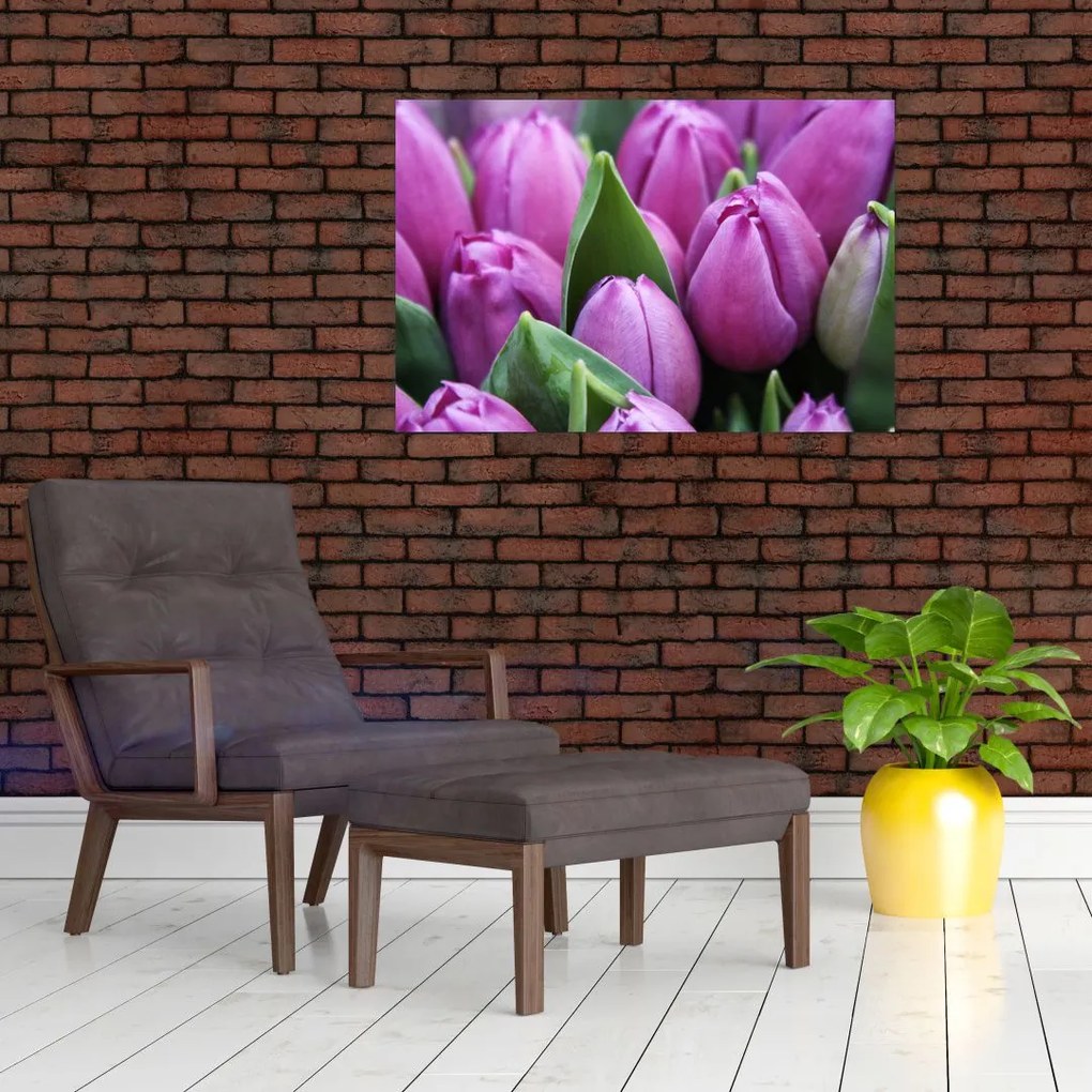 Tablou - florile lalelelor (90x60 cm)