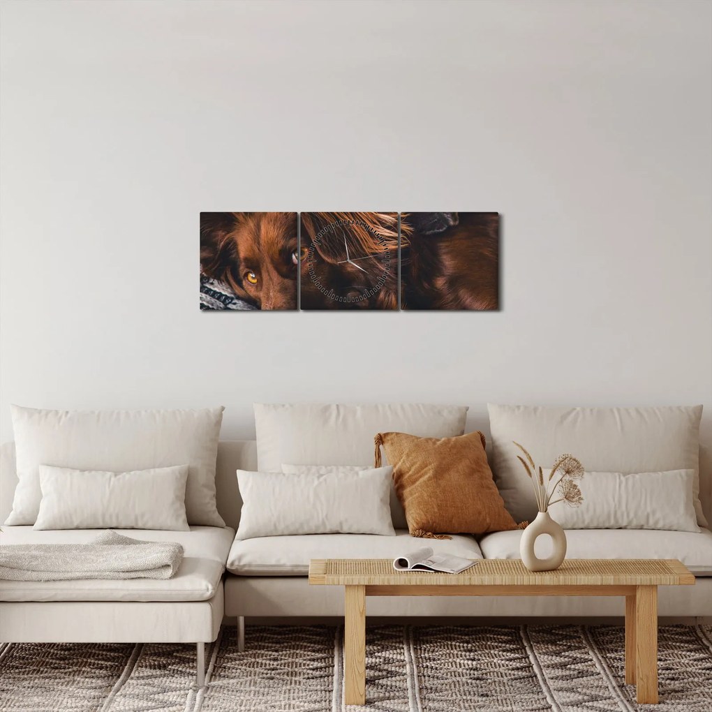 Tablou cu câini dormind (cu ceas) (90x30 cm)