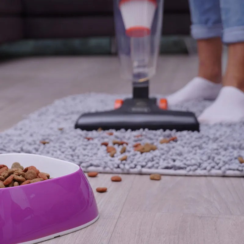 Aspirator vertical Rosberg R51001A, 600W, 800 ml, Filtru HEPA, Manual, Negru