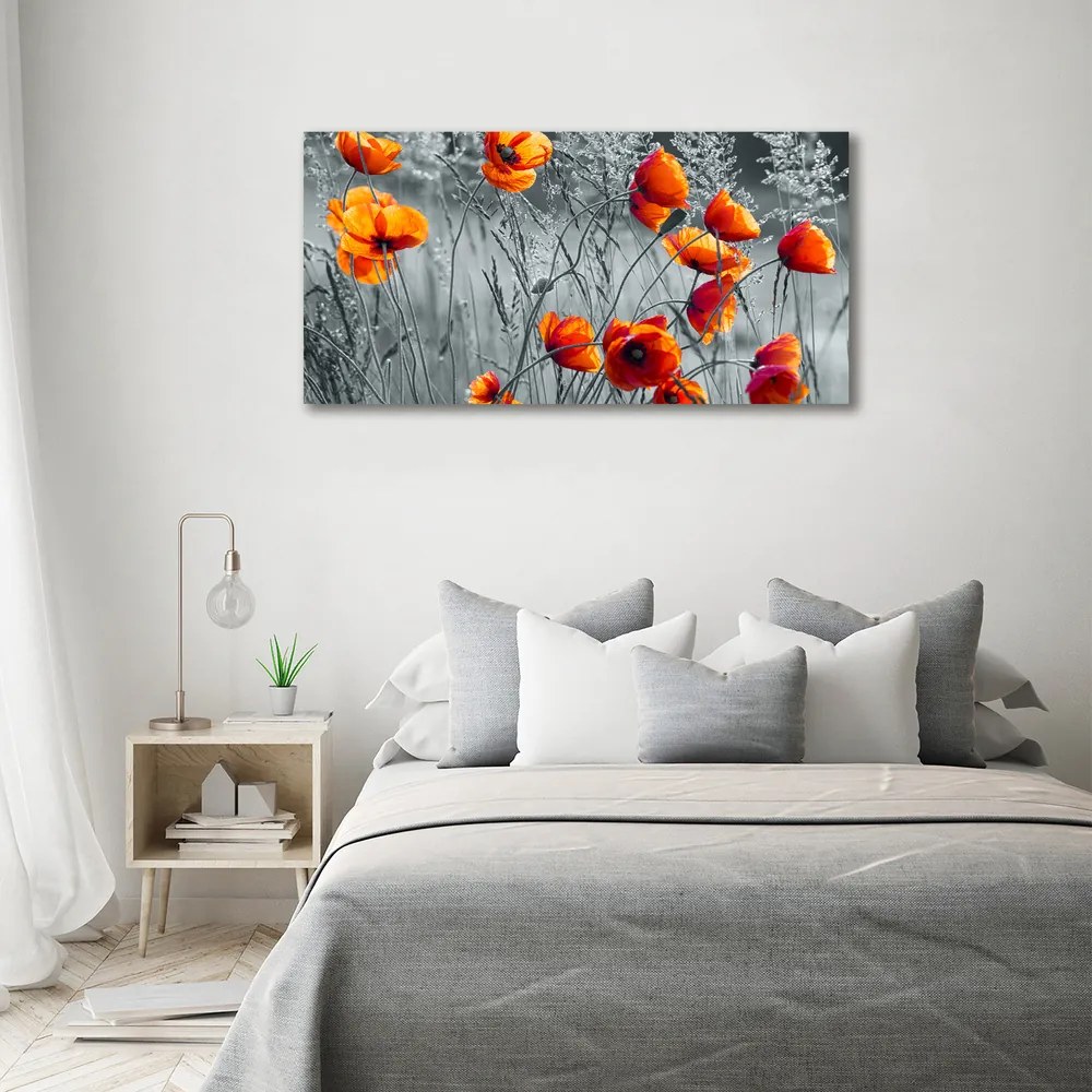 Print pe pânză Wildflowers maci