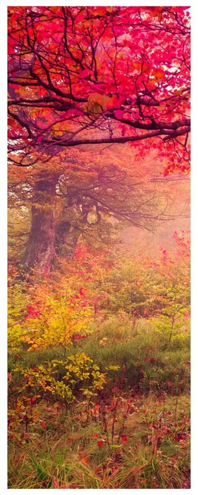 Fotojaluzele R012510R57150 (57x150 cm)