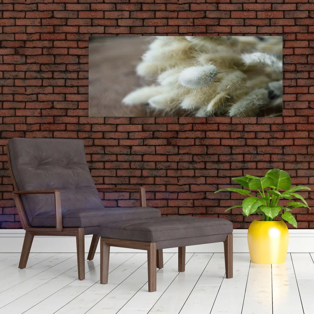 Tablou - Coadă de iepure (120x50 cm)