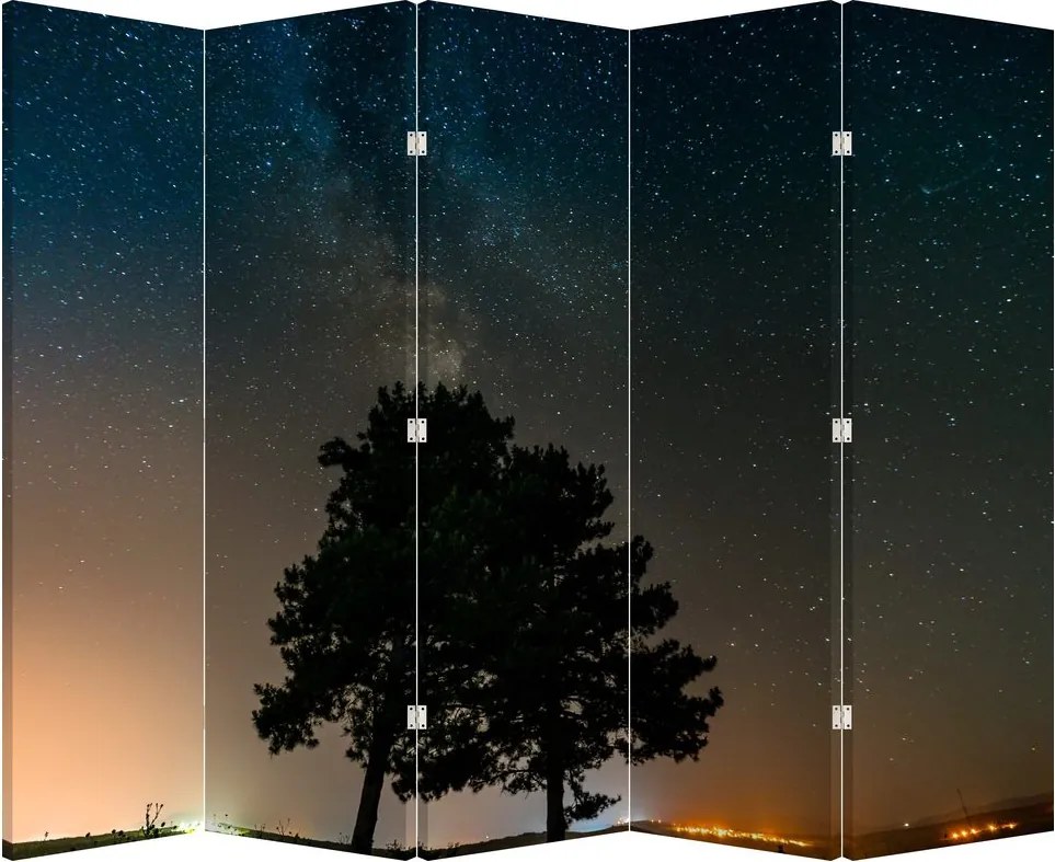 Paravan - Cerul nocturn și copaci (210x170 cm)