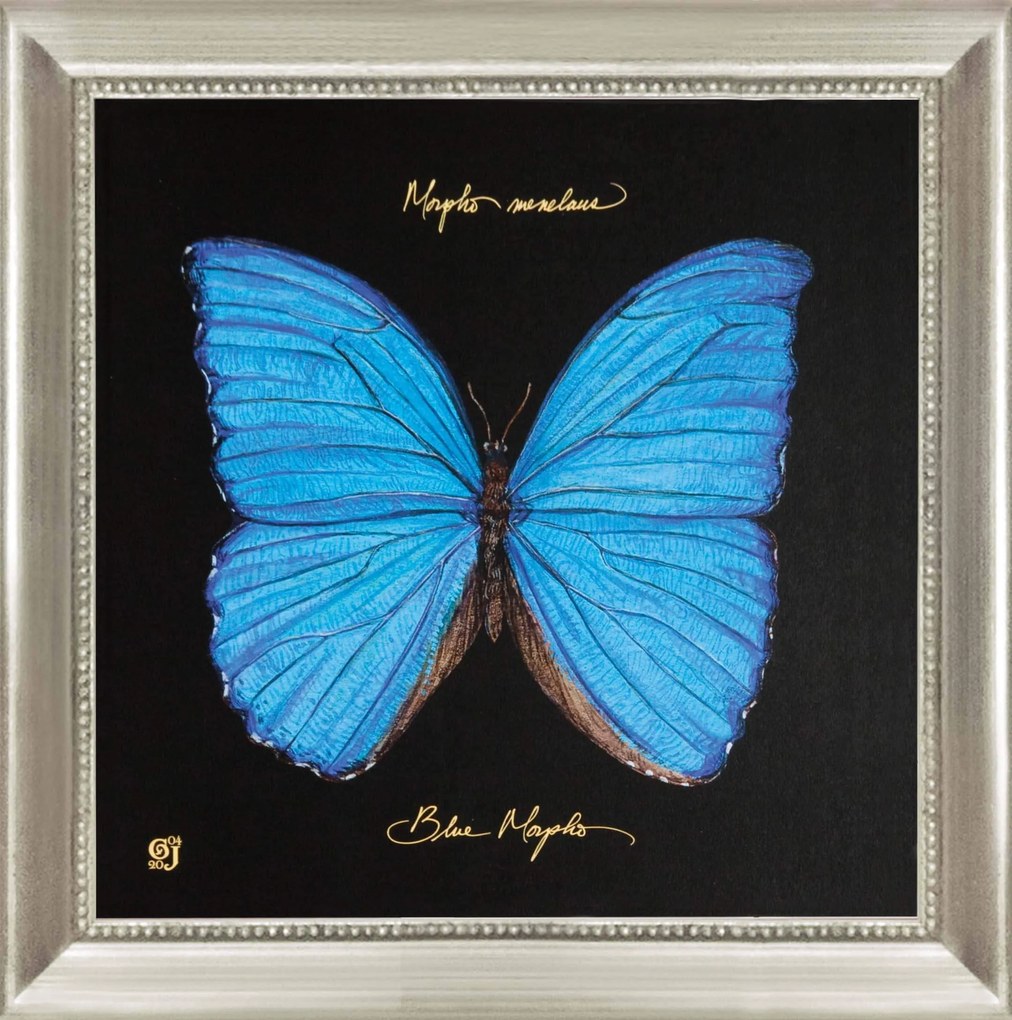 Tablou fluture albastru Joyner Blue Butterfly (30x30cm) | PRIMERA COLLECTION