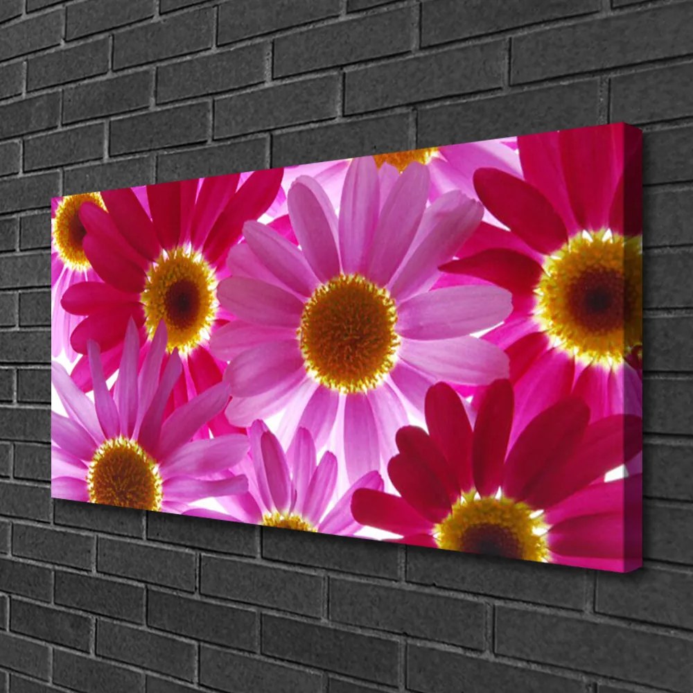 Tablou pe panza canvas Flori Floral galben roz