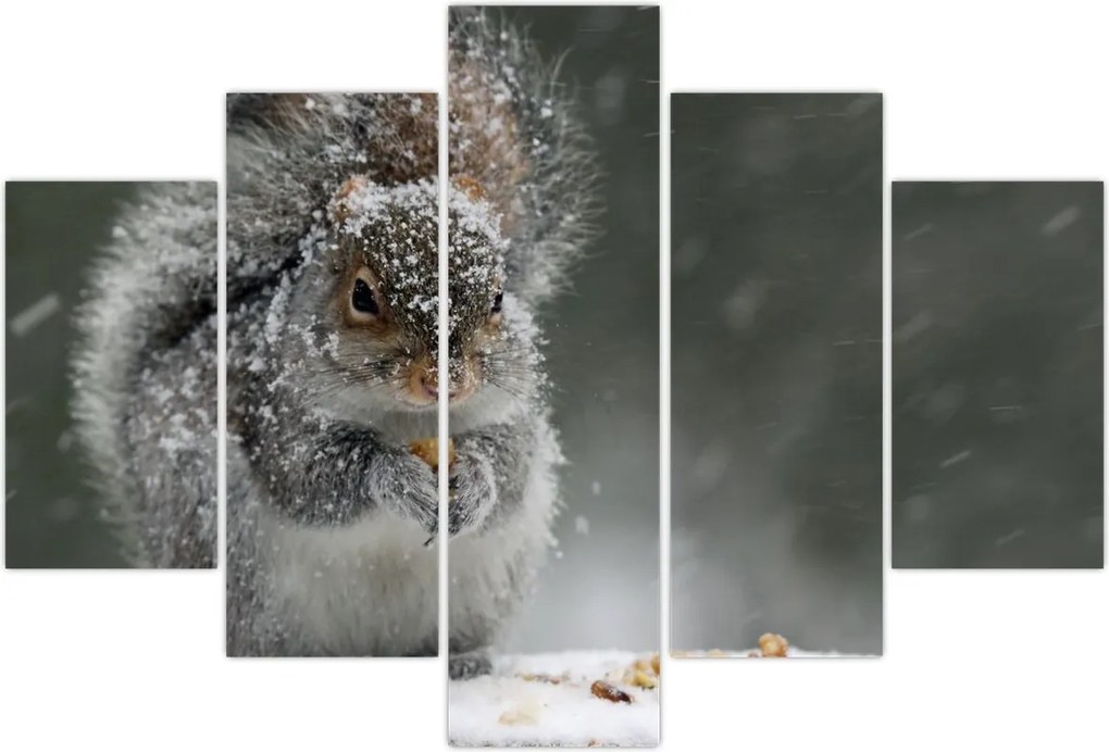 Tablou - Veveriță iarna (150x105 cm)