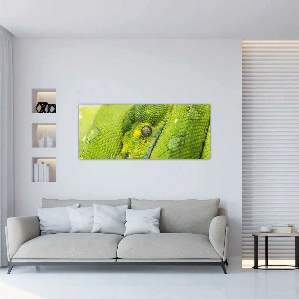 Tablou cu șarpe (120x50 cm)