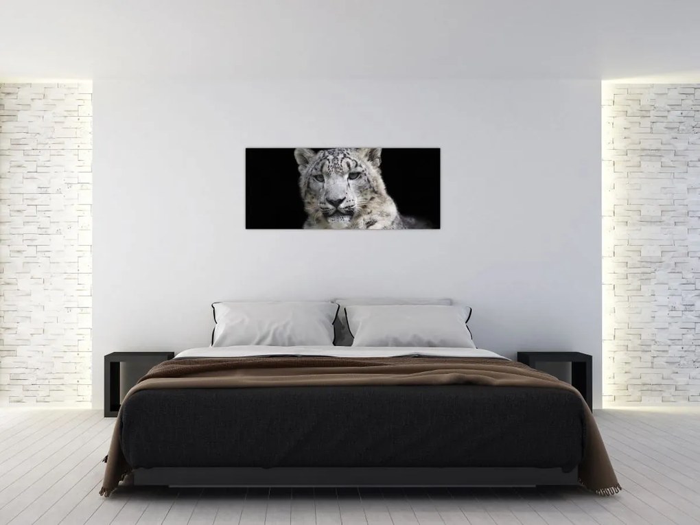 Tablou - Snow Leopard (120x50 cm)