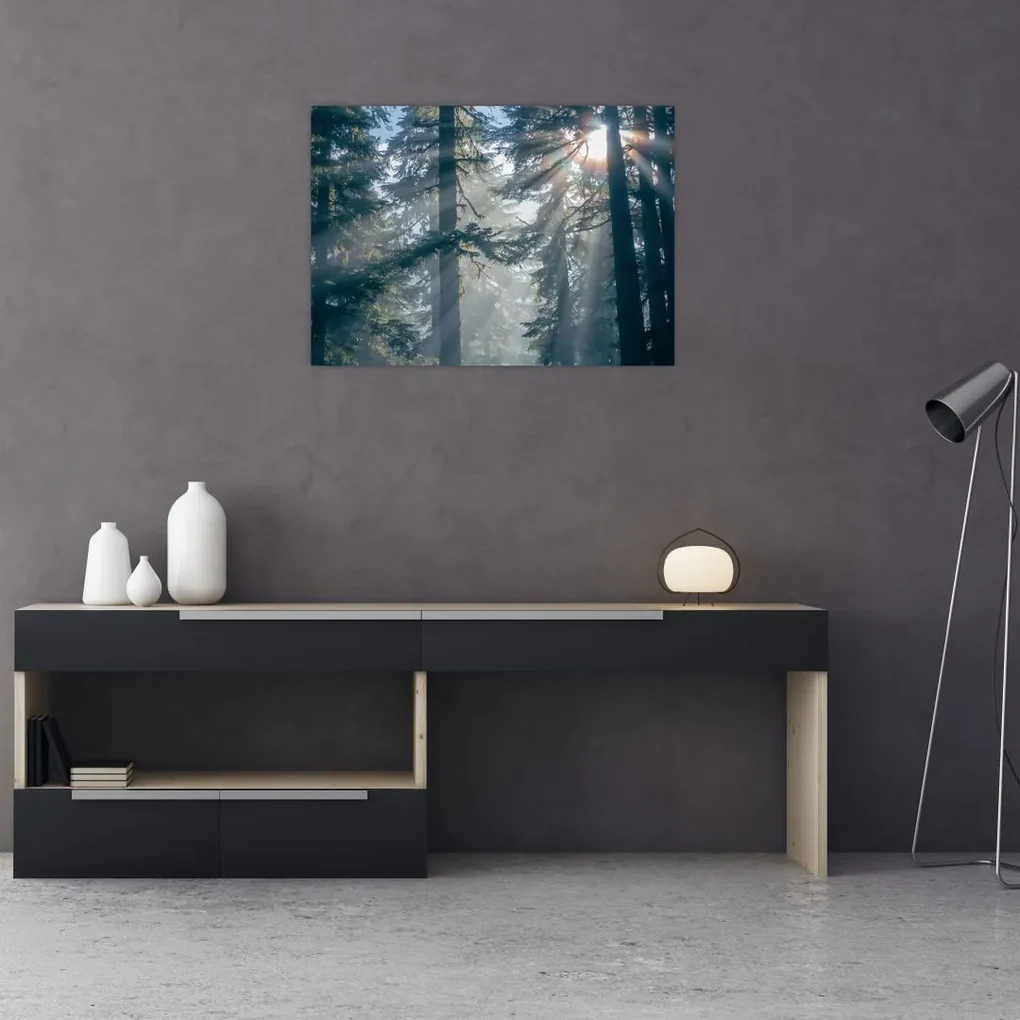 Tablou cu copaci și soarele translucind (70x50 cm), în 40 de alte dimensiuni noi