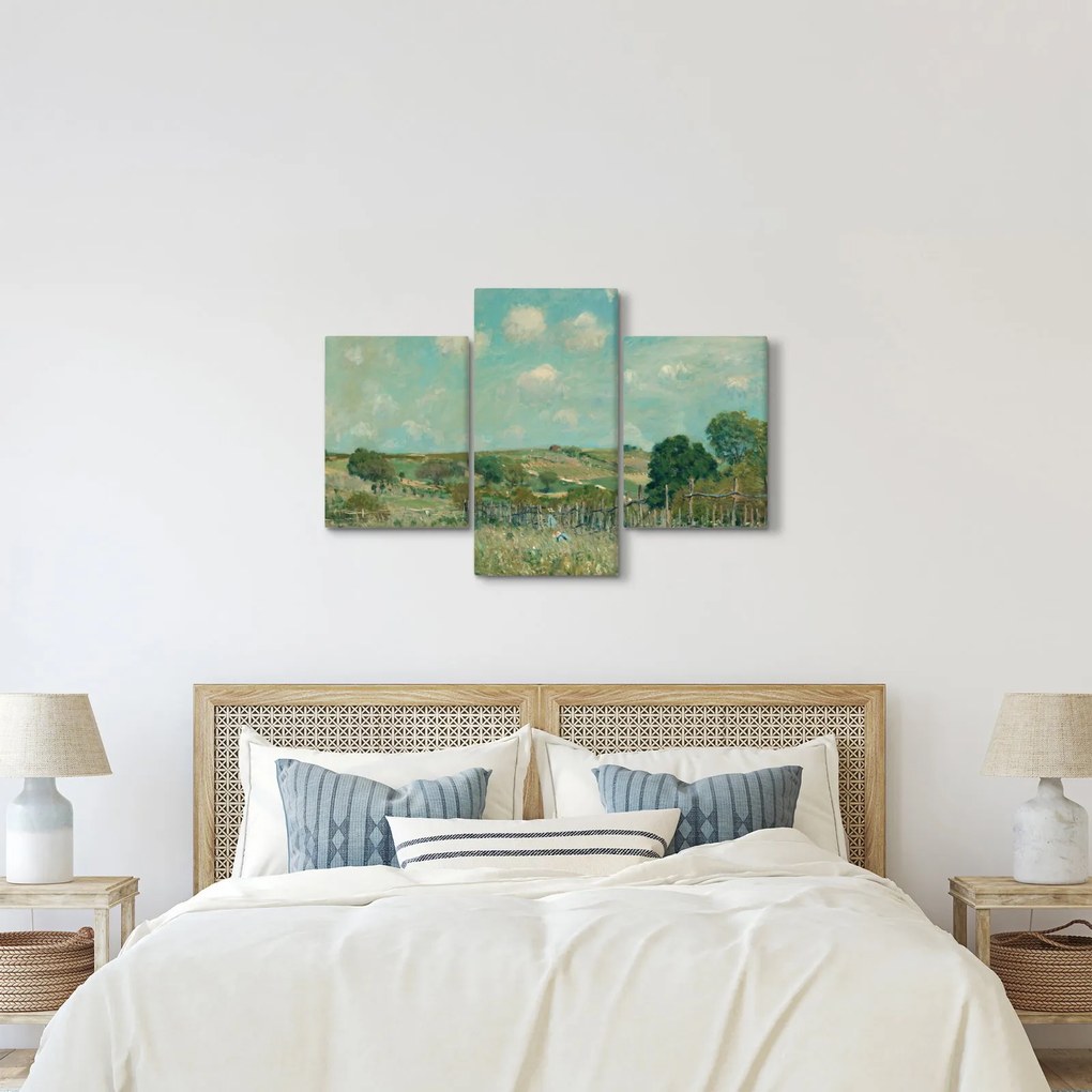 Tablou - Alfred Sisley, Meadow, reproducere (90x60 cm)