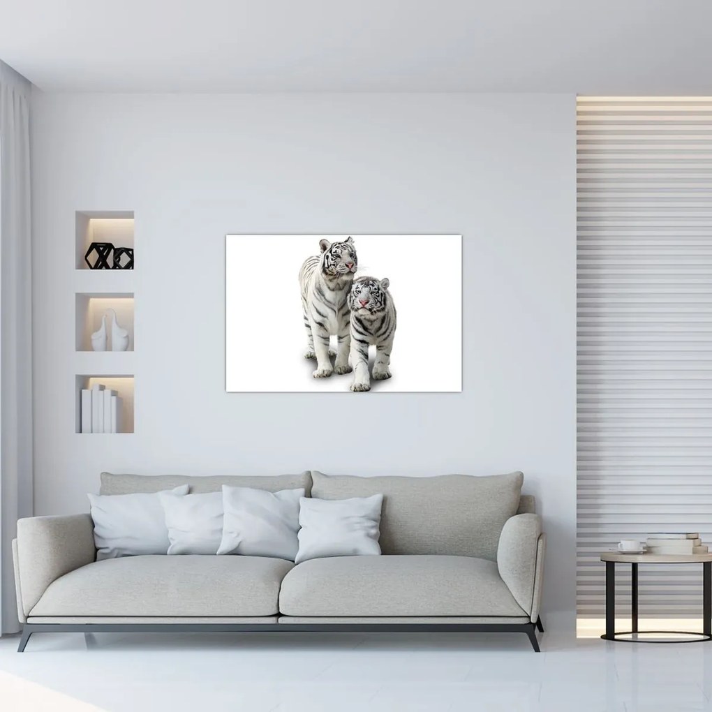 Tablou - Tigrul alb (90x60 cm)