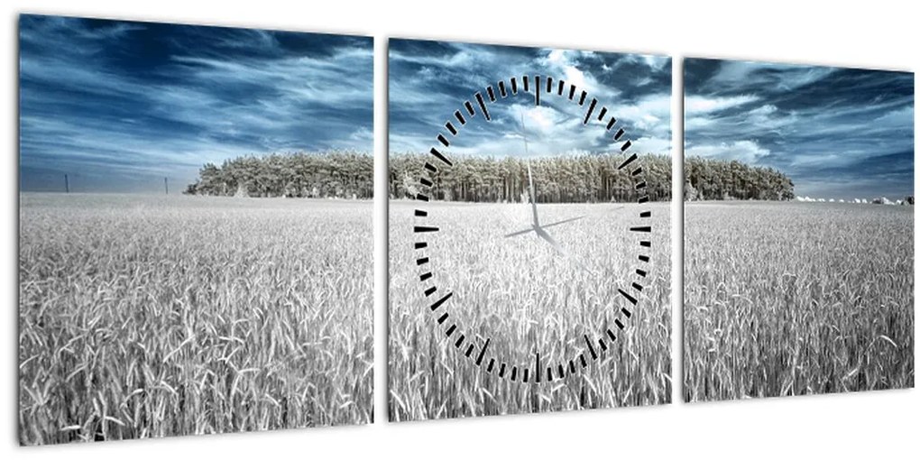 Tablou cu câmp (cu ceas) (90x30 cm)