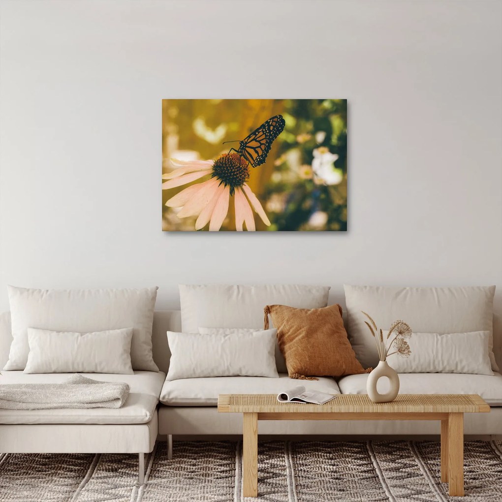 Tablou cu fluture pe floare (70x50 cm)