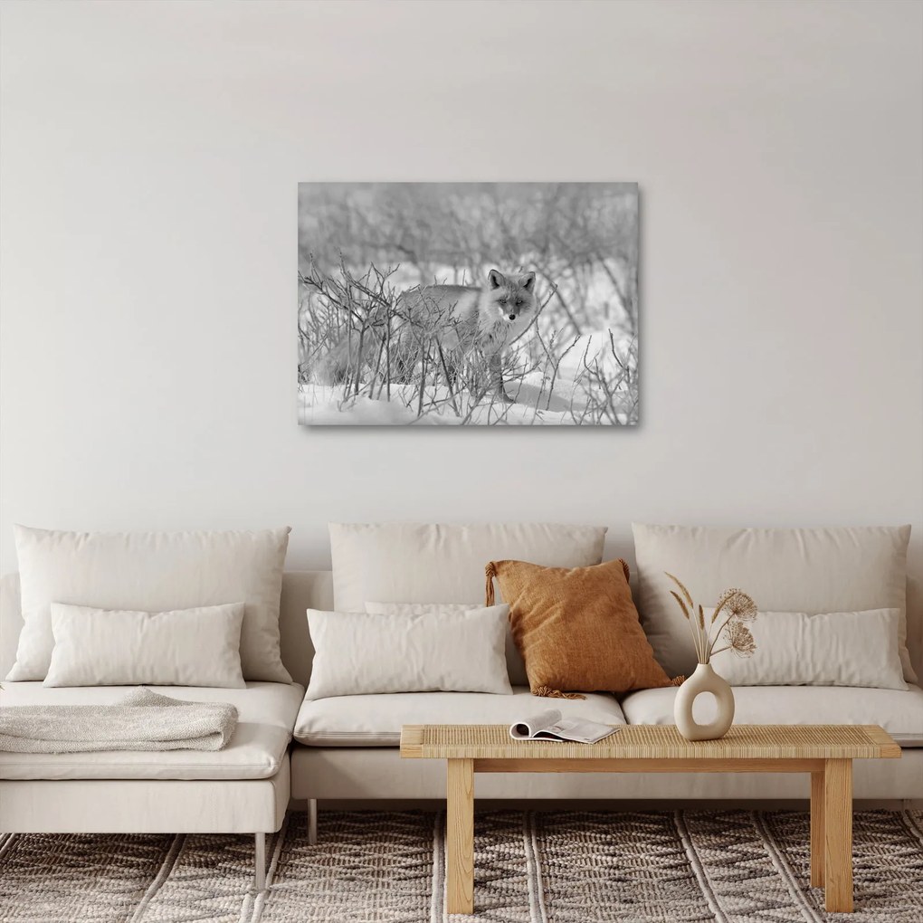 Tablou - Vulpe,alb-negru (70x50 cm)