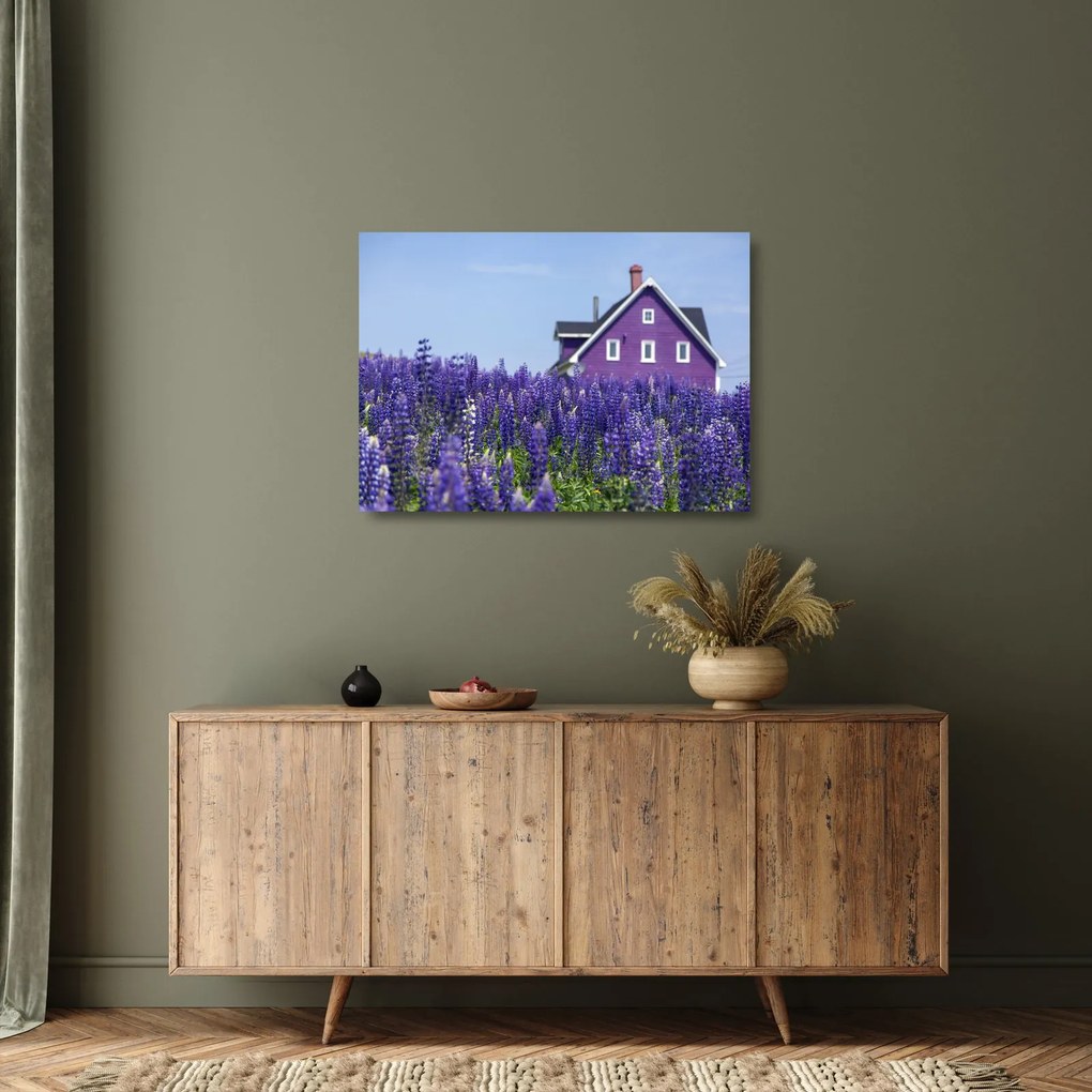 Tablou pe sticlă cu câmp de lavanda (70x50 cm)