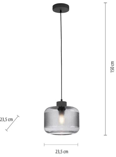 Lustră pe cablu Paul Neuhaus 2005-25 BOLETUS 1xE27/10W/230V d. 23,5 cm gri