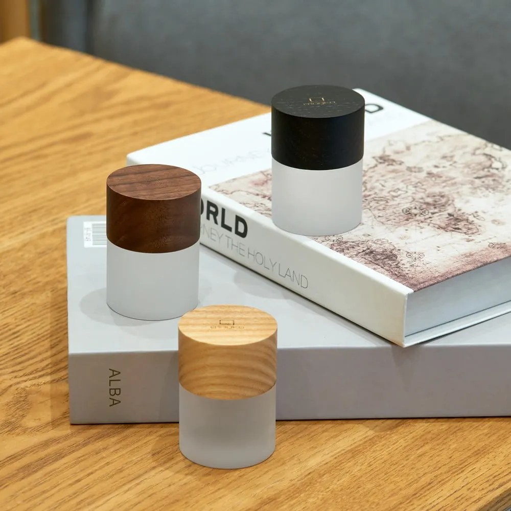 Decorațiune luminoasă în culoare naturală cu USB ø 4,5 cm Lemelia – Gingko