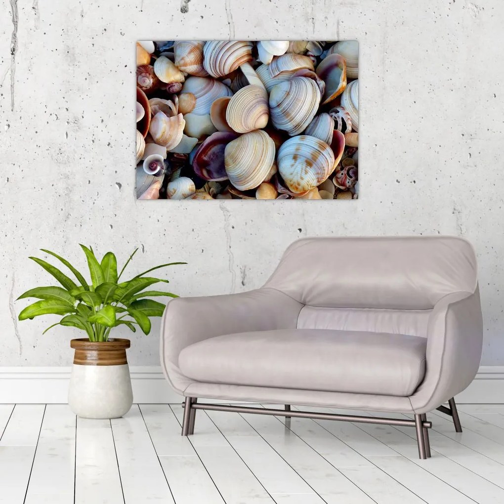 tablou cu scoici (70x50 cm)