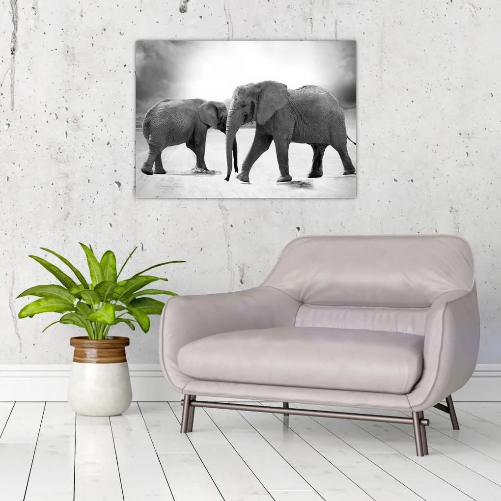 Tablou cu elefanți (70x50 cm), în 40 de alte dimensiuni noi